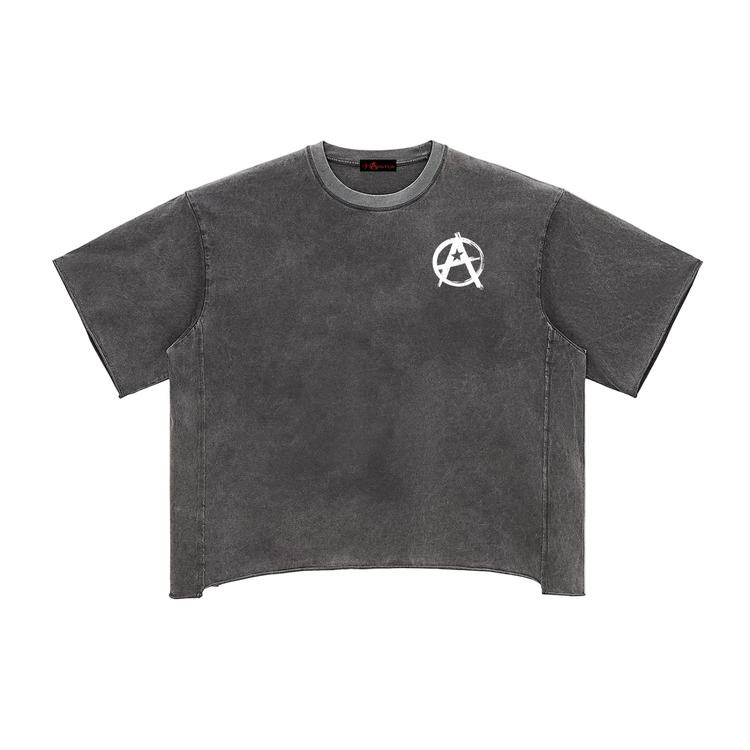 Raw Edge Snow Washed Boxy T-Shirt